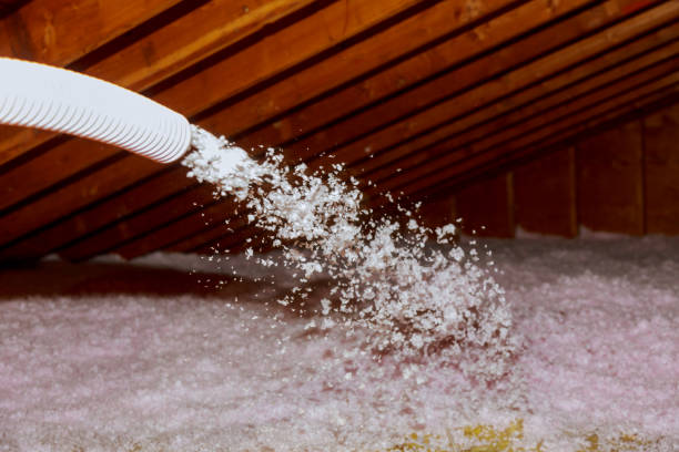 Best Insulation Installation Services in Luverne, AL