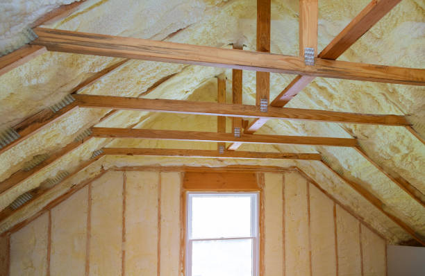Best Residential Insulation in Luverne, AL